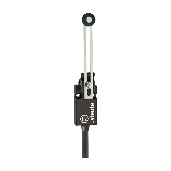 EEX14DS1O1S5M HAE Limit Switch