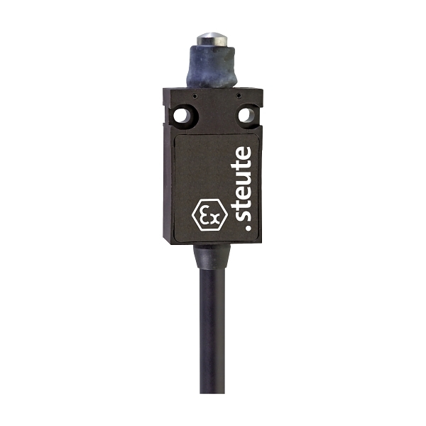 EEX14W1O1S1M HAE Limit Switch
